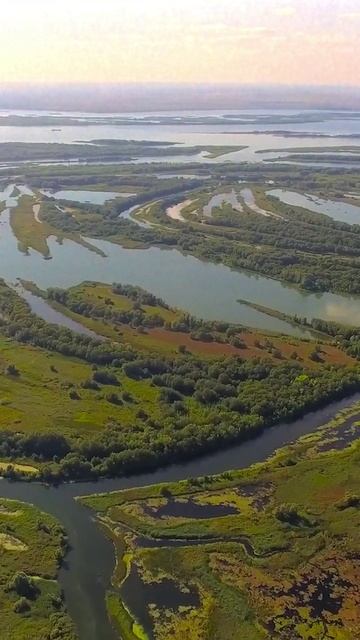 -6313336895343455064