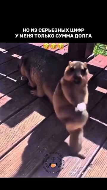 Банк требует платить, но нечем? Есть законный выход — спишите все долги. Приходите на консультацию!