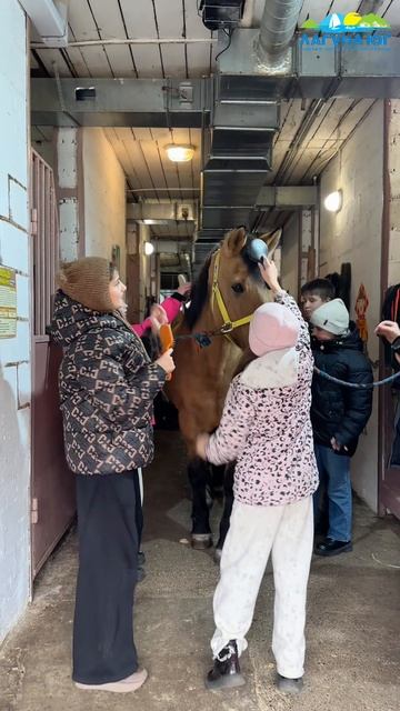 В «Лагуне Юг» теперь можно подружиться с лошадью! 🐴