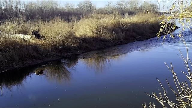 Река Урал Ноябрь утро утки… Видео Виктор Поживин