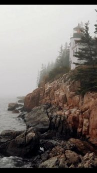 Shore in the fog