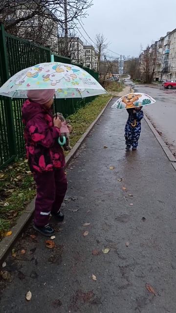 Дождик льёт