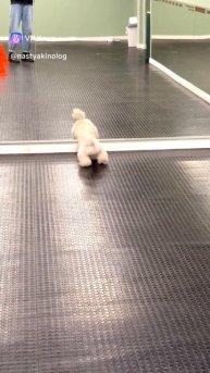 Просто милота