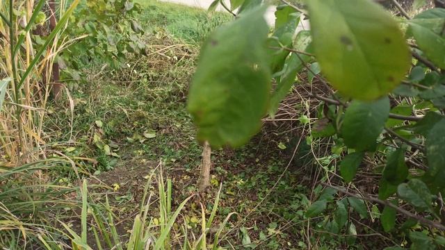 У меня снова новинки!