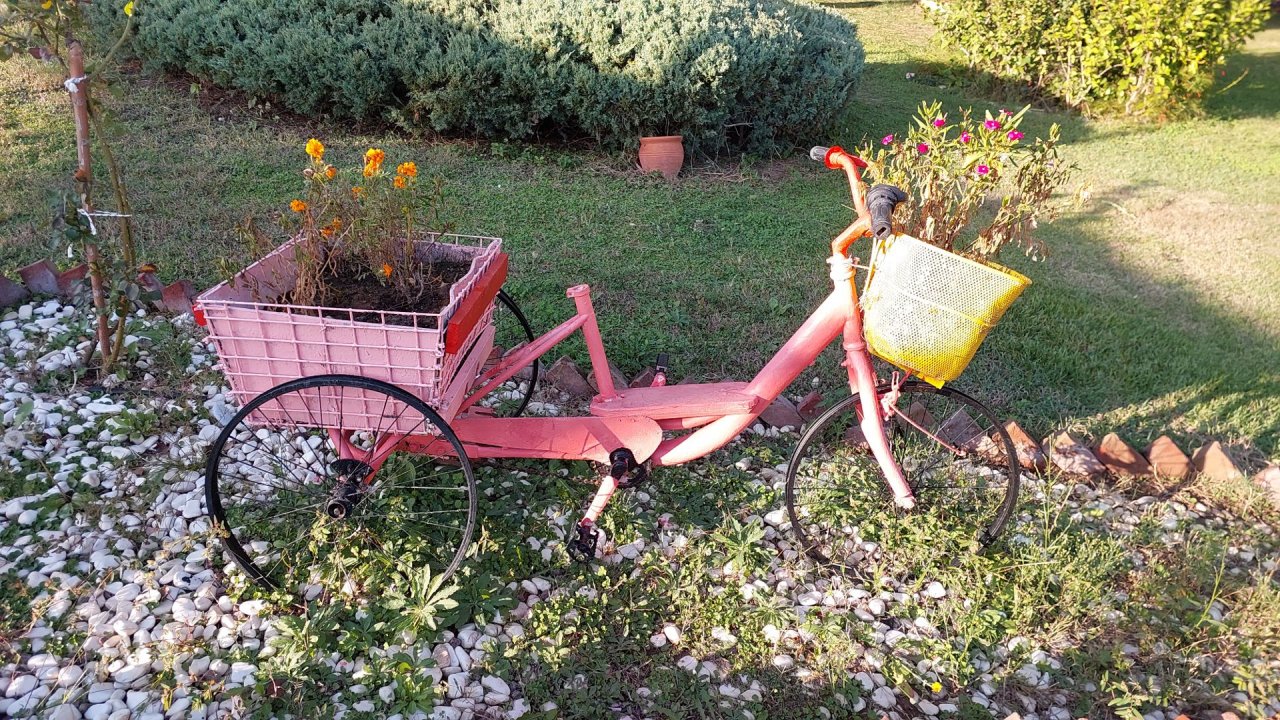 Заглянуло лето в осень