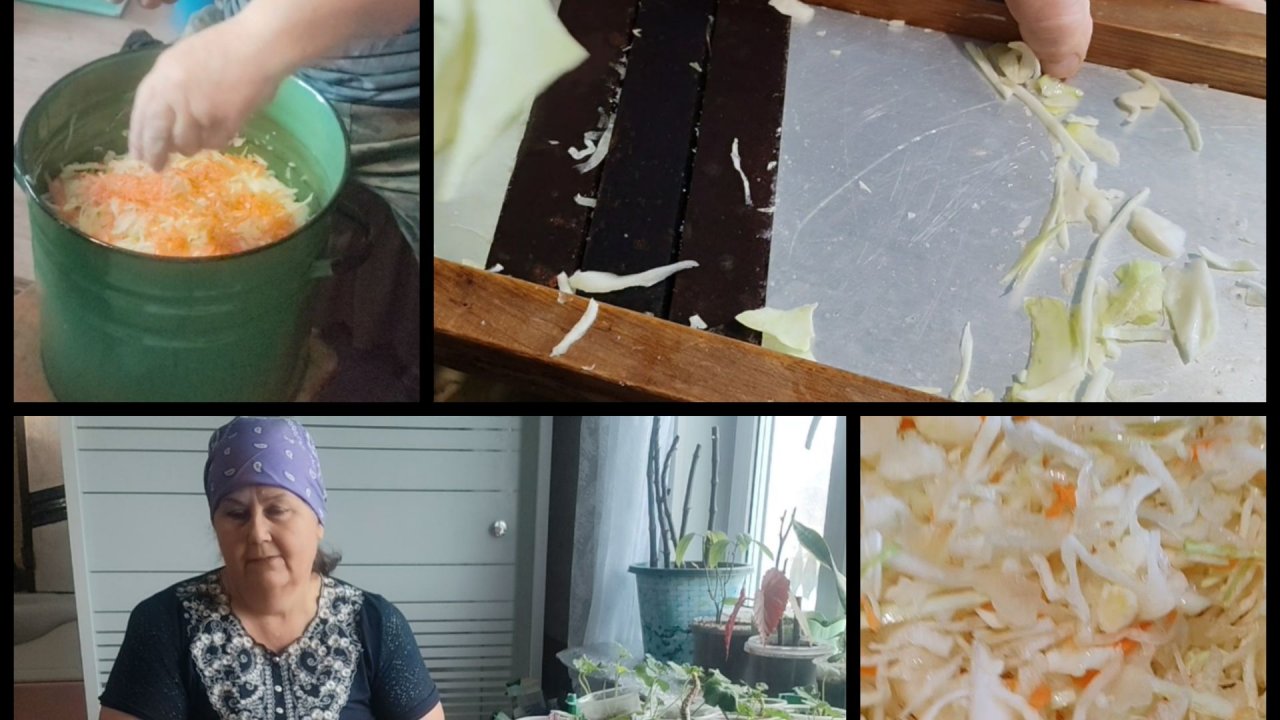 Мы с мужем вместе солим капусту вот уже 41 раз.