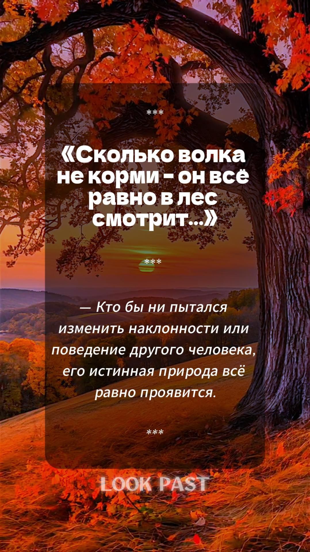 Сколько волка не Корми! 😒