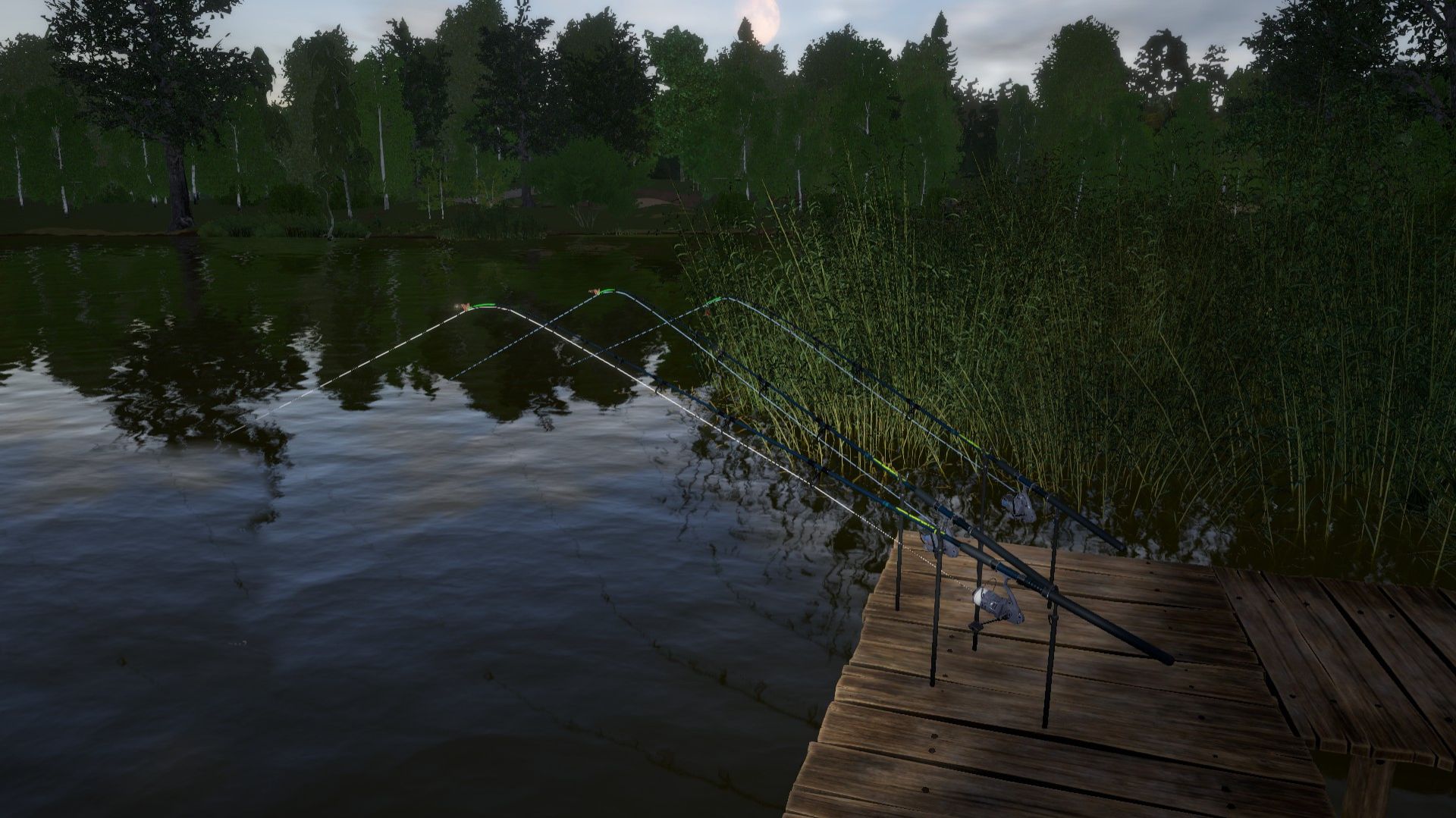 За окунями со спиннингом