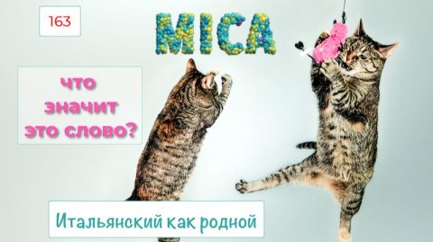 MICA в итальянском языке в примерах с переводом – 163