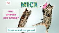 MICA в итальянском языке в примерах с переводом – 163