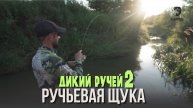 Ручьевая щука. Дикий ручей 2 (9)