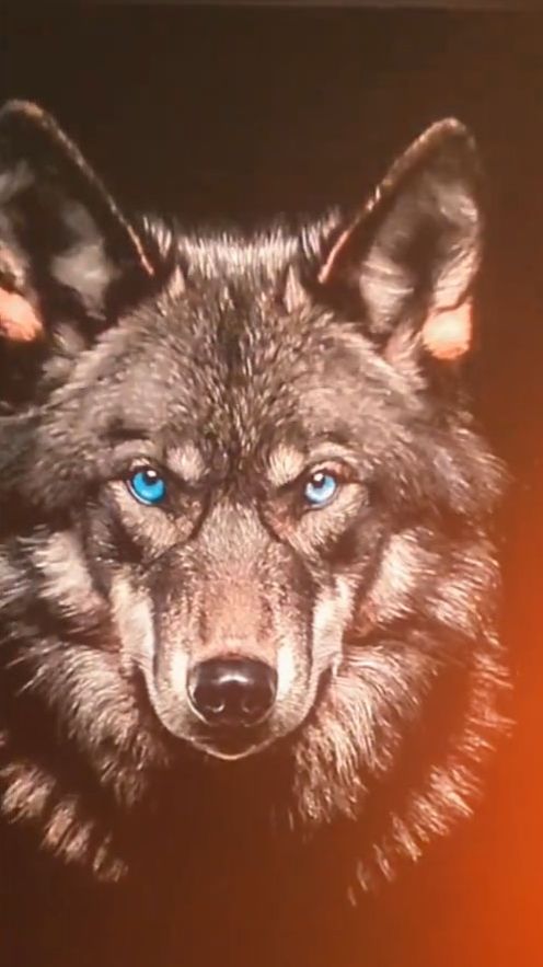 Волчья шелкография.