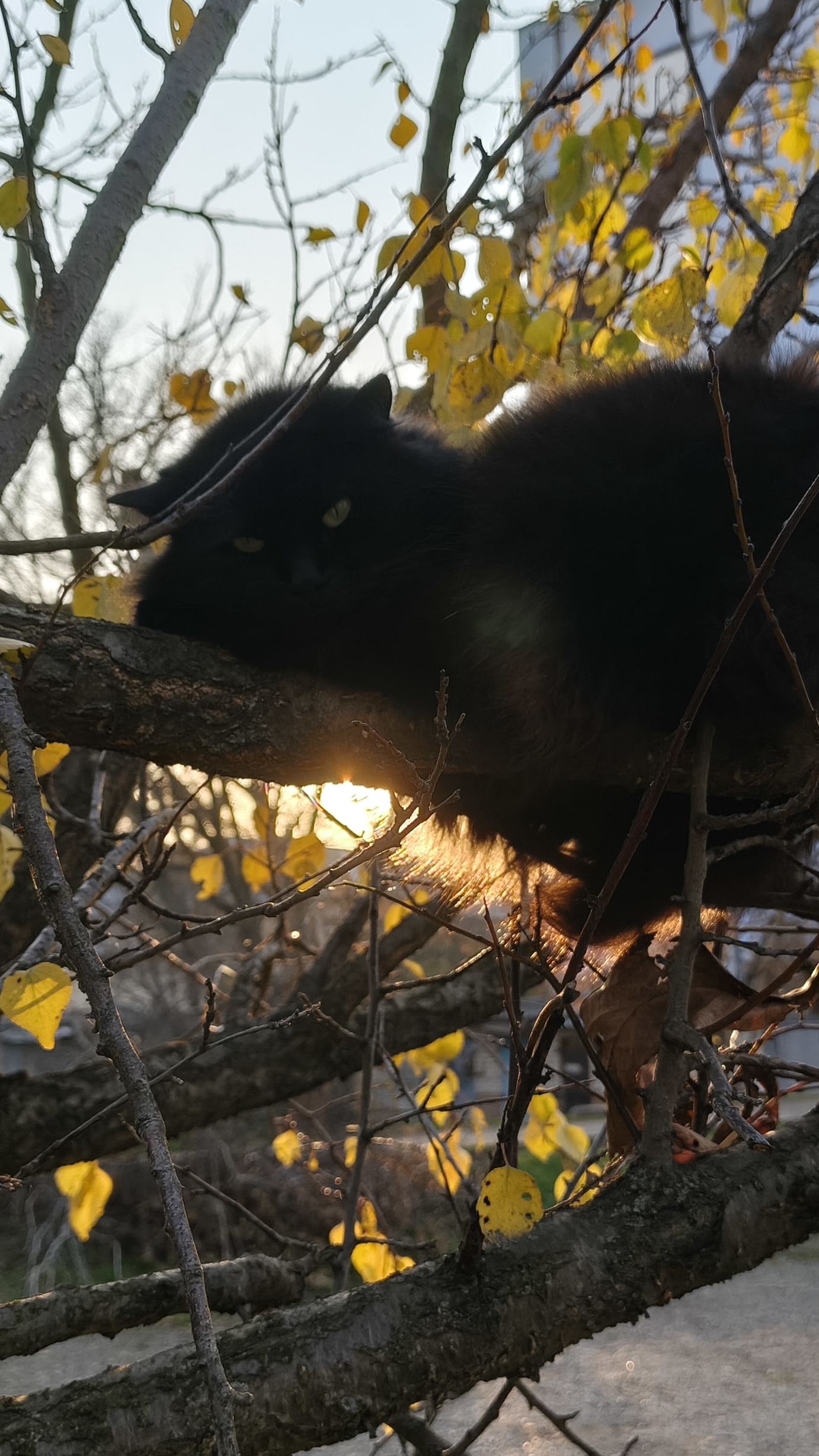 12.11.2025 #сегоднятак #природа #прырода #табиғ #自然 #natureza #natura #자연 #طبيعة #प्रकृति #nature