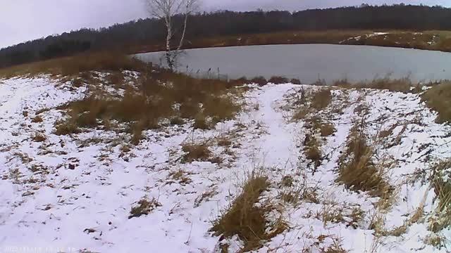 Очередная прогулка с собакой на природе