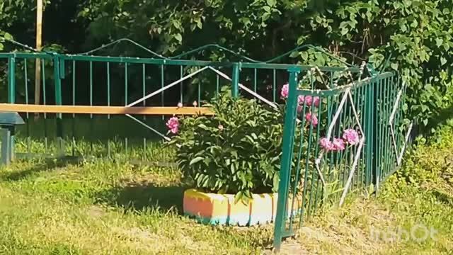 Дом Культуры в селе. Тамбовская область