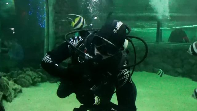 Честный обзор поездки выходного дня с компанией Судаков Тревел.