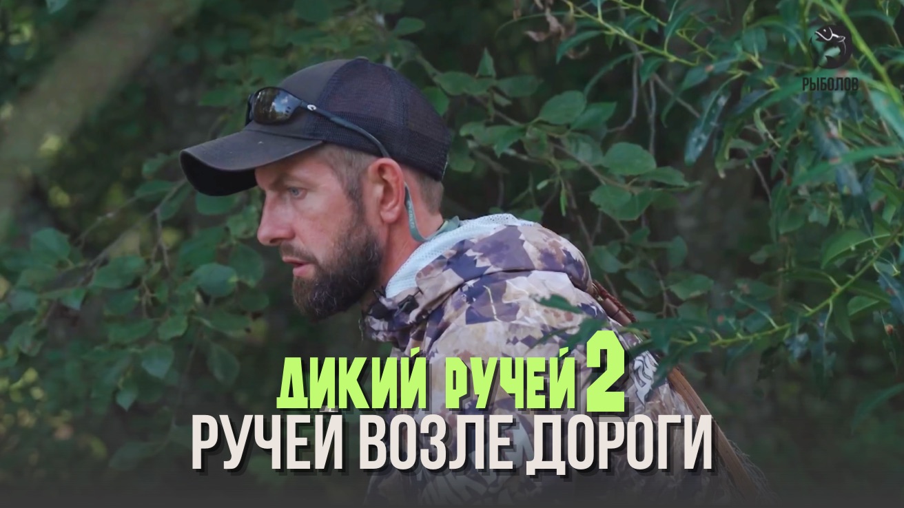 Ручей возле дороги. Дикий ручей 2 (10)