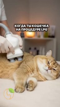 Каждая вторая женщина мечтает убрать живот или сбросить лишний вес, а каждая третья — вернуть кож...