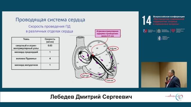 «СЕРДЕЧНО-СОСУДИСТЫЙ КОНТИНУУМ »