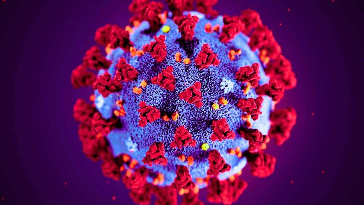 Был ли «всплеск COVID» на самом деле HERV-K — человеческим белком, ошибочно принятым за вирус?