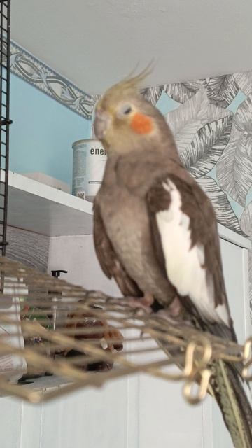 у нее на все один ответ😂