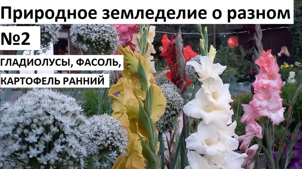 Природное земледелие о разном №2.