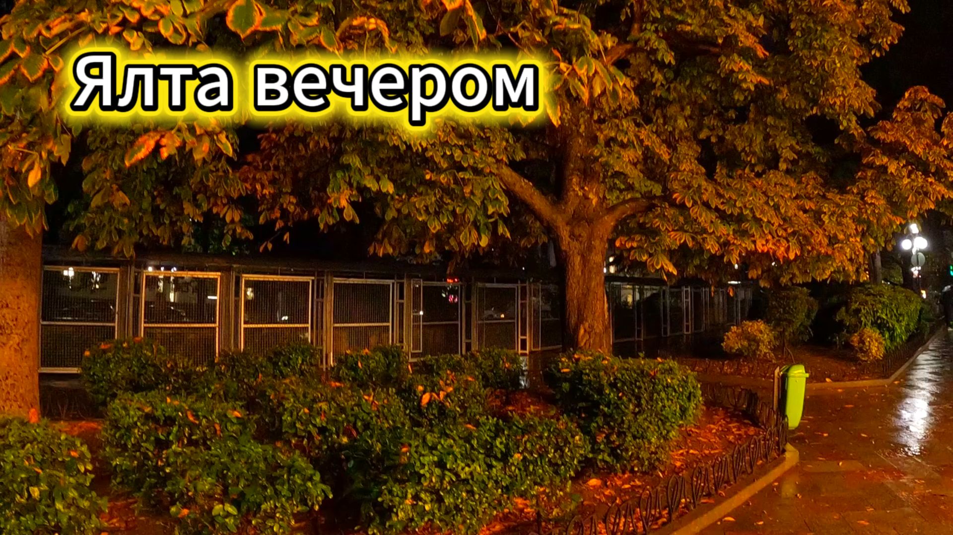 Ялта вечером.Набережная .Собаки 13 ноября 2025
