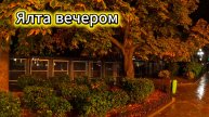 Ялта вечером.Набережная .Собаки 13 ноября 2025