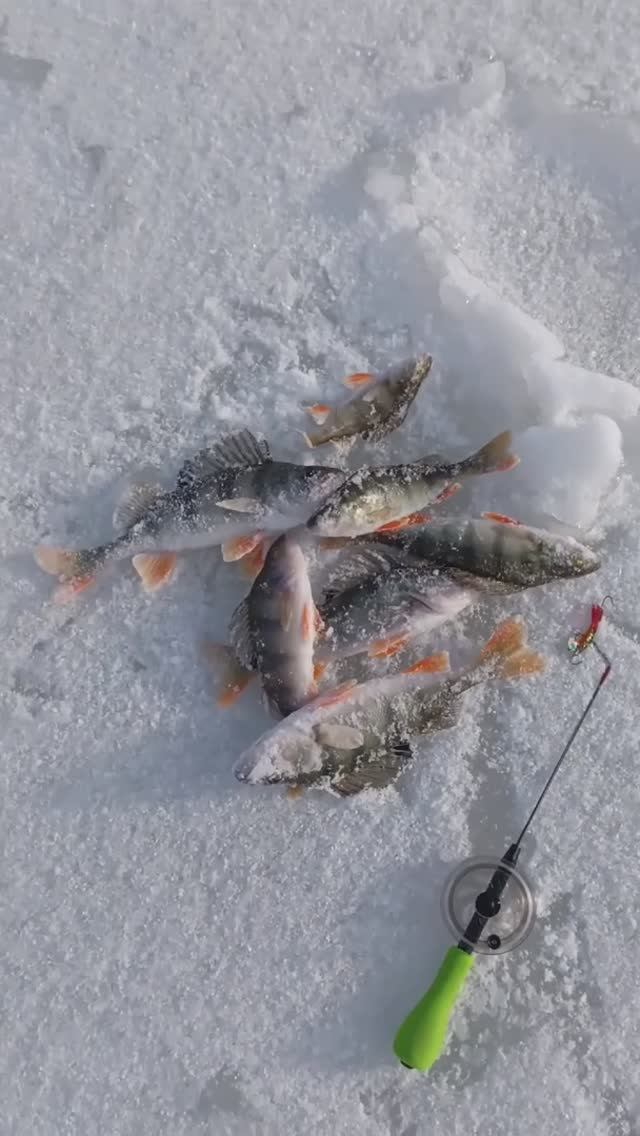 ВТОРОЙ, ПЕРВЫЙ ЛЁД 🎣