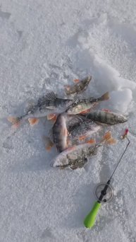 ВТОРОЙ, ПЕРВЫЙ ЛЁД 🎣