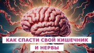 Прямой эфир: связь кишечника и нервной системы