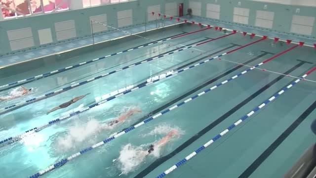 Перспективы развития водных видов спорта в Самарской области