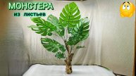МОНСТЕРА из листьев. Декоративная.