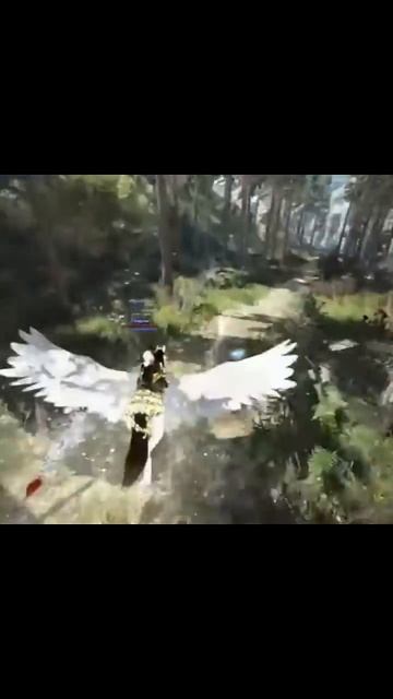 Когда психика как у горы🙃🗻#vilmarionv #mmorpg #bdo #blackdesertonline #gaming #games #игры