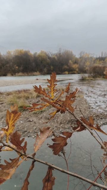 14.11.2025 #сегоднятак #природа #прырода #табиғ #自然 #natureza #natura #자연 #طبيعة #प्रकृति #nature