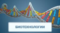 Биотехнологии. Видеоинфографика