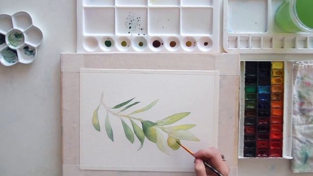 Коммерческая иллюстрация - Зелень