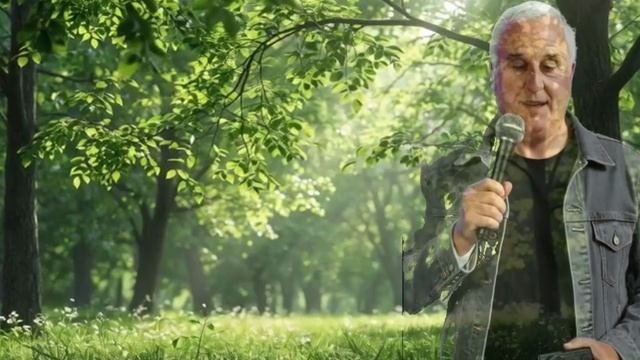 Я в весеннем лесу