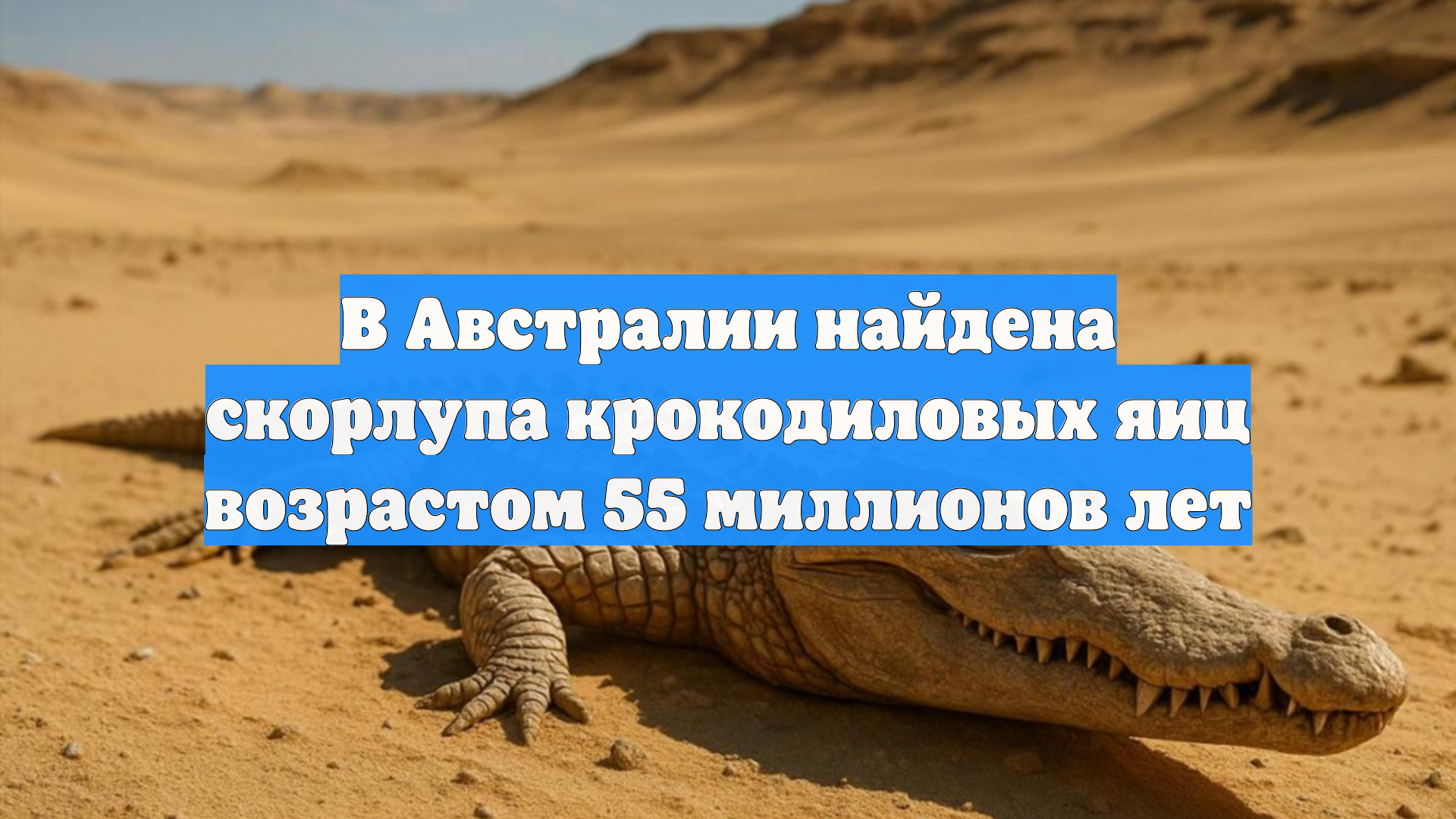 В Австралии найдена скорлупа крокодиловых яиц возрастом 55 миллионов лет