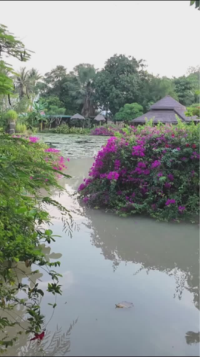 ГРЯЗЬ В НЯЧАНГЕ: СКОЛЬКО СТОИТ?💸 Обзор ТХАП БА (Thap Ba) и Цена Грязевых Ванн. Завтра 15.11.25