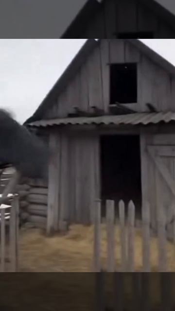 Старый дедушка в деревне скачет на батуте как Бэтмен!.