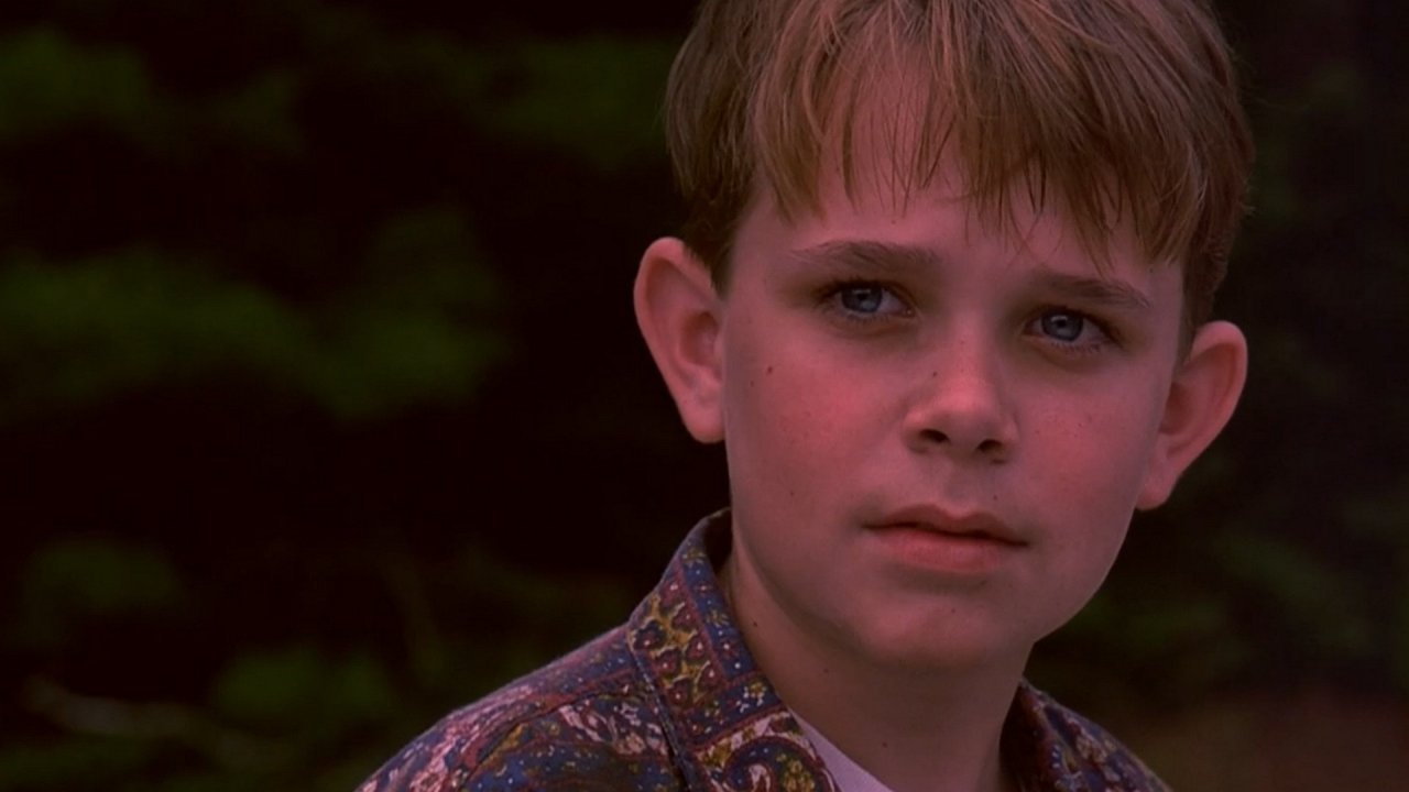 Человек без лица (1993)