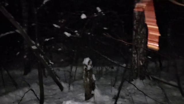 В лесу: мои понятия - элиты, Deep state, фашизм, нацизм. Спираль распада монолита, качели примирения