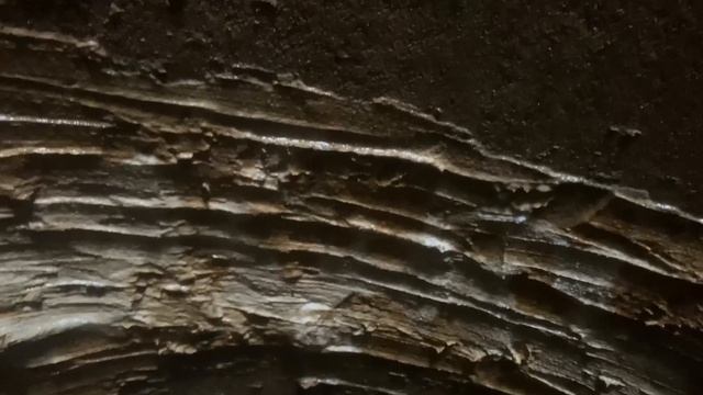 Ст. Родничок. Купили участок проверьте колодец. podkapaev.ru