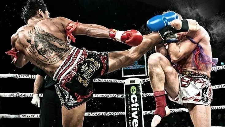 Единоборства - как я себе представляю.