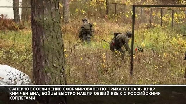 СВО День 1359: Саперы из КНДР помогают российским коллегам разминировать Курскую область