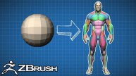 Создание анатомии человека из сфер в ZBrush | Основы 3D-скульптуры с нуля