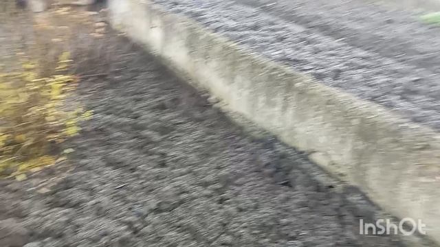 ✅Первые заморозки🥶.Утренний сюрприз😯.15.11.25