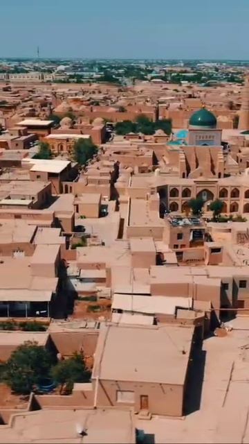 2_5242459797579663326.mp4