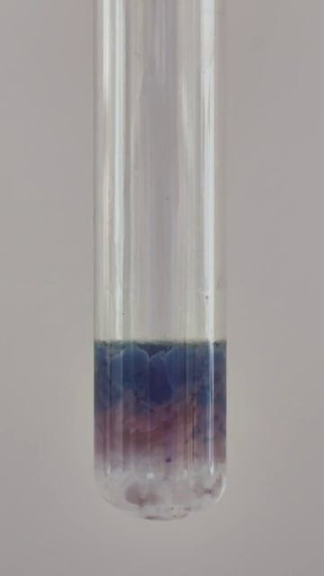 Co(OH)2 и основная соль: розовое против синего